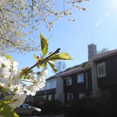 Vandrerhjem Hostel Tønsberg