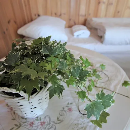 Vandrerhjem Hostel Tønsberg