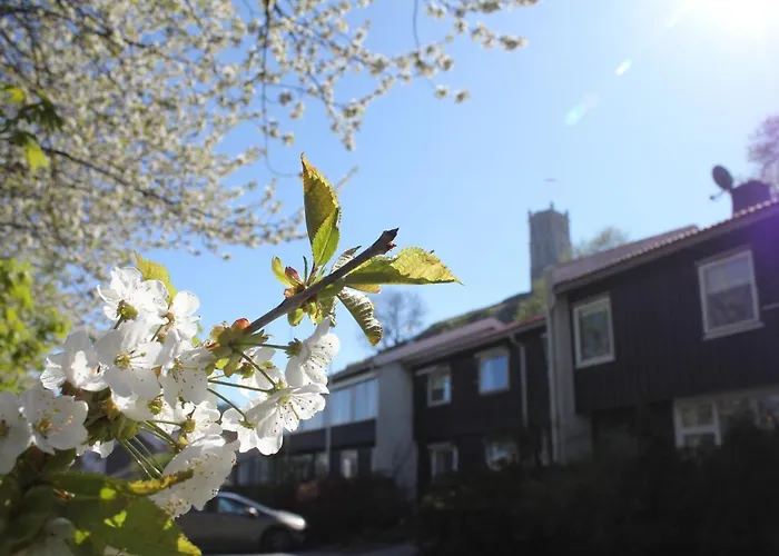 Tonsberg Vandrerhjem אכסניה Tønsberg